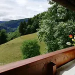 Heisenbauer * 巴特莱辛哈尔