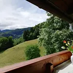 Heisenbauer 公寓 *