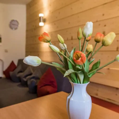 Apartment Heisenbauer Bad Reichenhall