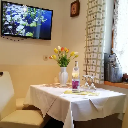 Apartment Heisenbauer *