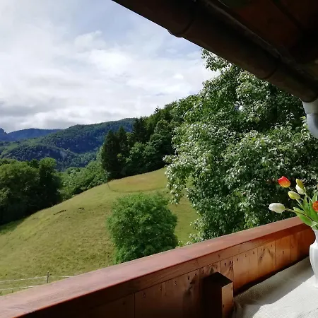 Heisenbauer Appartement *