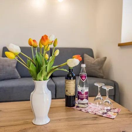 Apartment Heisenbauer Bad Reichenhall